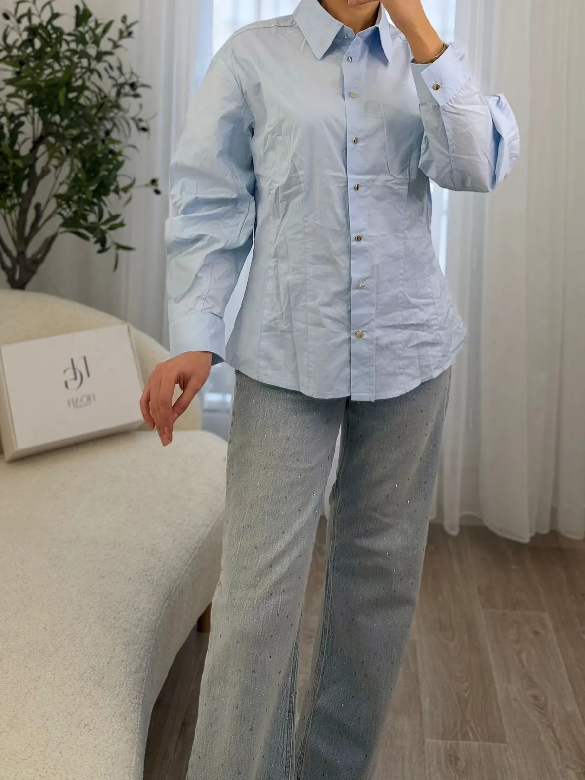 Chemise Classique Chic