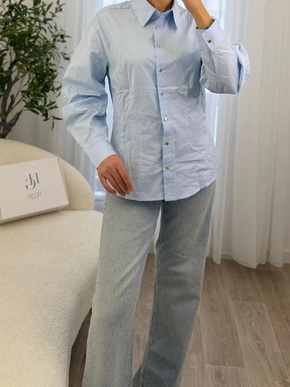 Chemise Classique Chic