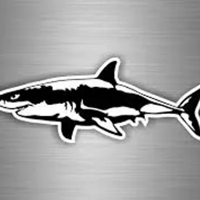 Shark